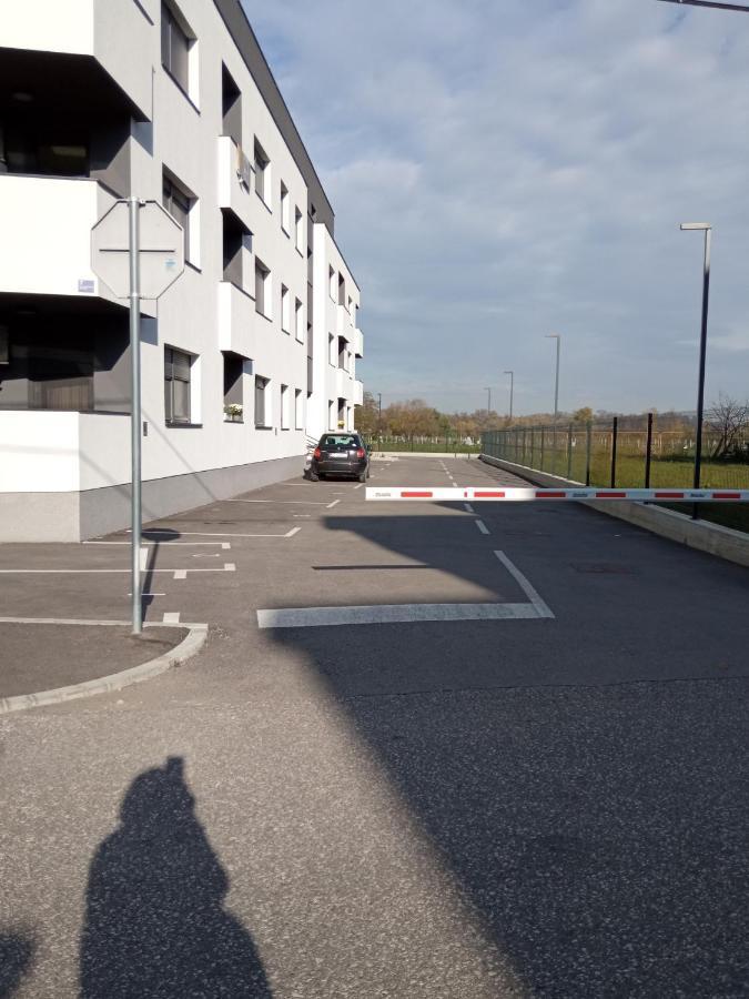 Fiolica Apartment